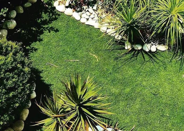 Royal Sunset & Daire